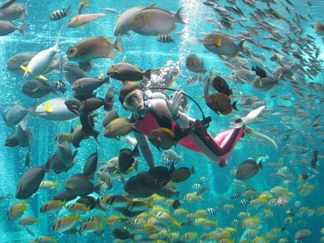 Hakone-en Aquarium