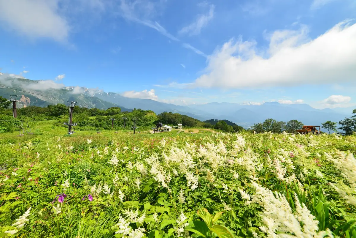 Hakuba Goryu Kozan Botanical Garden