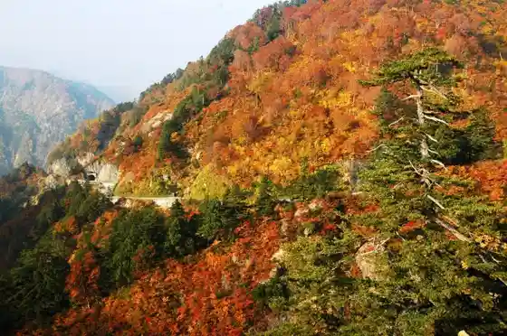Hakusan Shirakawa Sato Howaitorodo