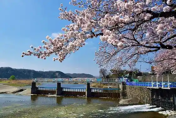 Hamura Shusui Seki