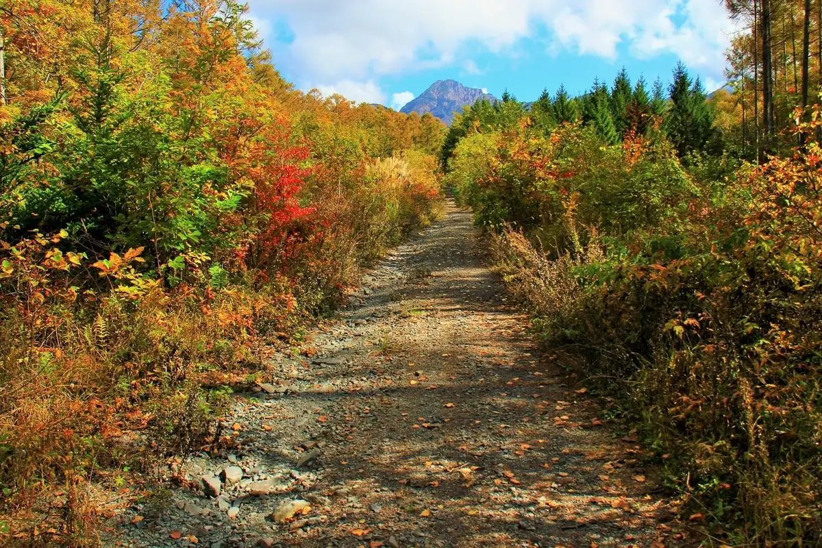 Hachigagaku Chuo Highlands no Autumn Leaves