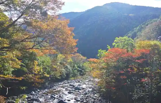 Tamagawa Kyo