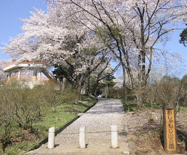 Oshamojiyama Park