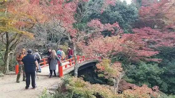 Momijidani Park