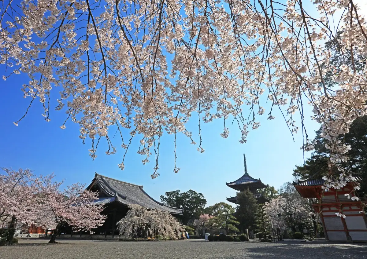 Dojoji
