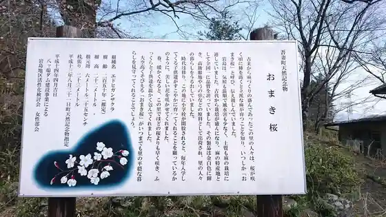 Omaki Cherry at Former Iwashima No. 2 Elementary School