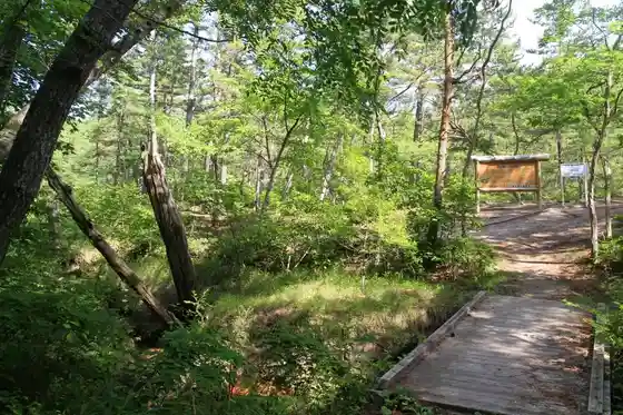 Sarugamori Buried Hiba Forest