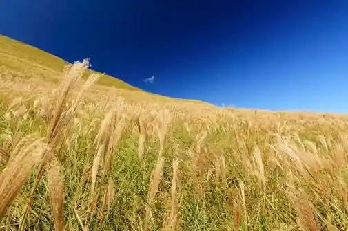 Inatori Hosono Highlands