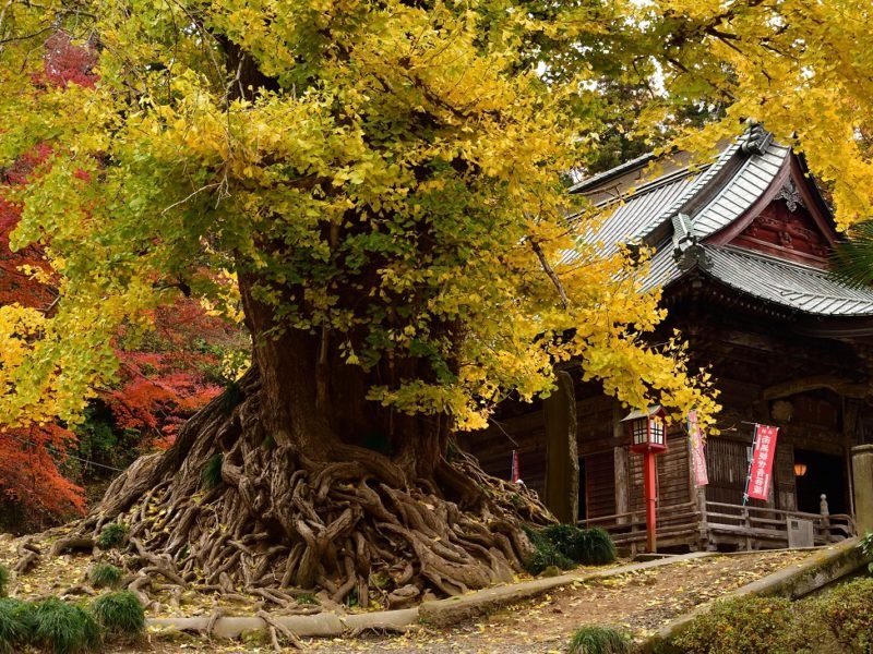 Iwadono Kannon Shobo-ji