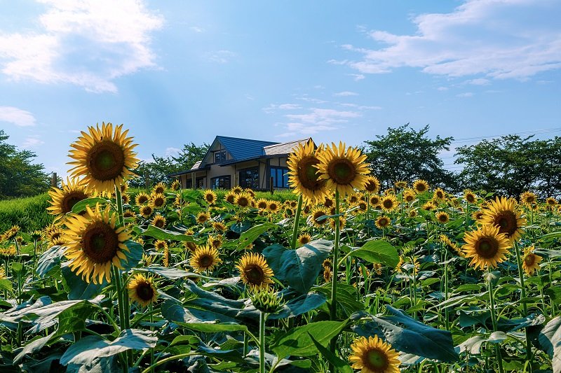 Higashimatsuyama City Agriculture and Forestry Park