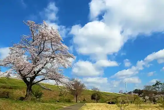 Sayama Park