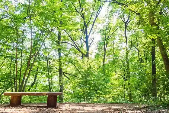 Hachi Kuni Yama Ryokuchi