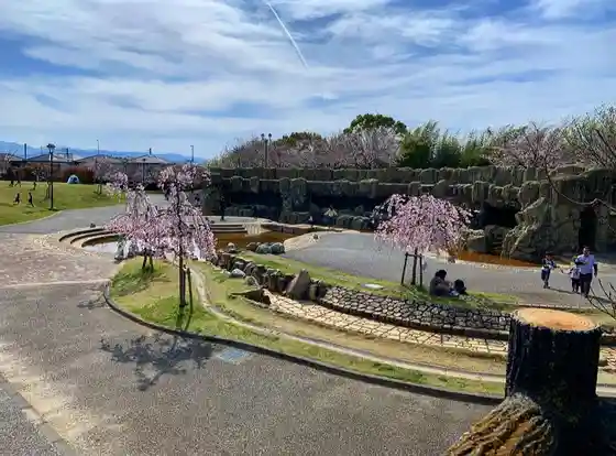 Higashinakatomi Sakuradutsumi Park, Aizumi Town