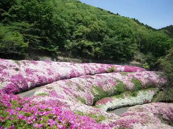 Fumin Forest (Narukawa Enchi)
