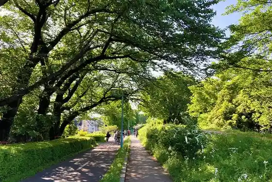 Toritsu Sayama Sakai Greenway