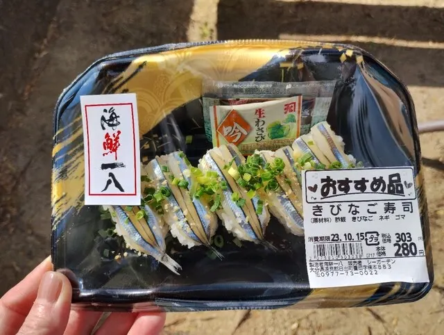 シーガーデンひじ