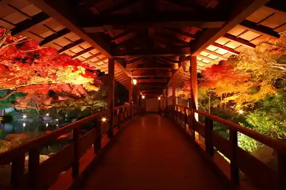 Koko-en Garden