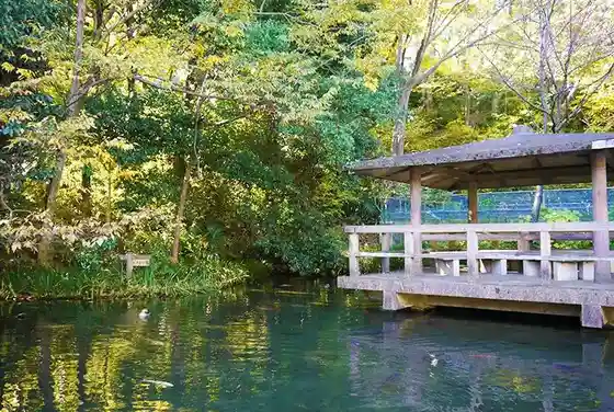 Kurokawa Seiryu Park