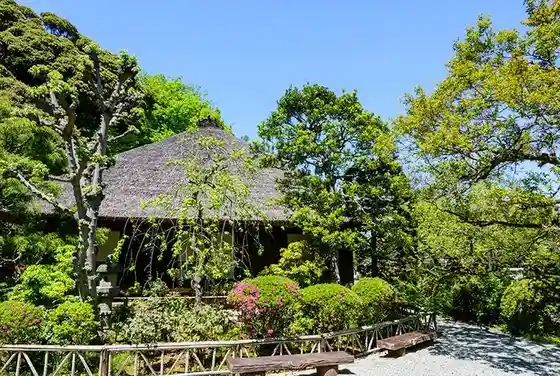 Keio Mogusa Sono