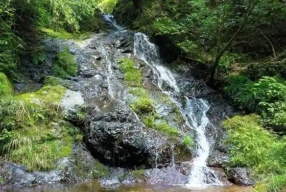 Shiroiwa Taki