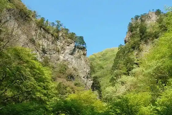 Kobe Iwa