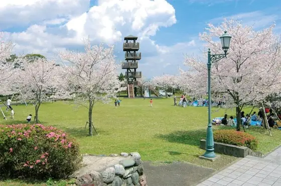 Shiroyama Park (Ichiuji Castle Ruins)