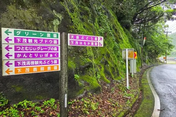 Shimoshige Mantoku Tourist Grape Farm