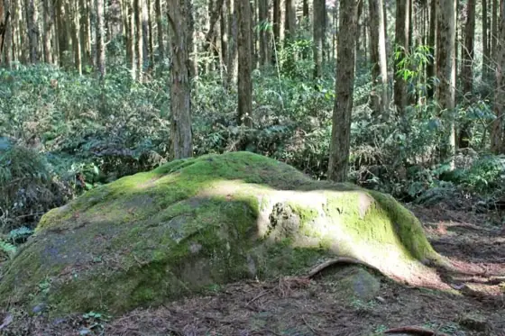 Saigo Takamori's Sitting Stone