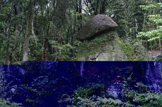 Kosazuke Rock