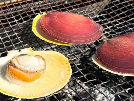 Tsukihi Terrace