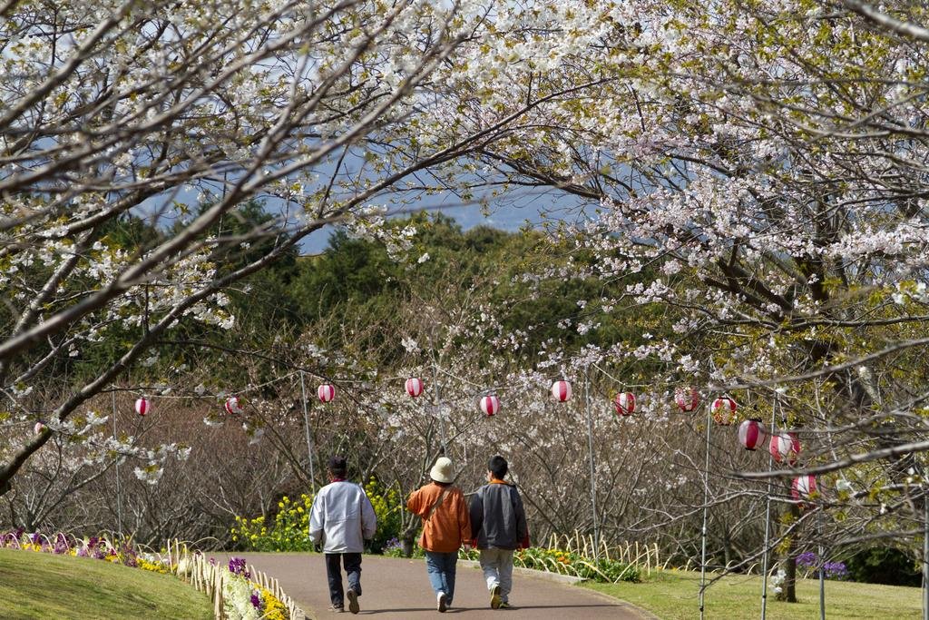 Tabira Park