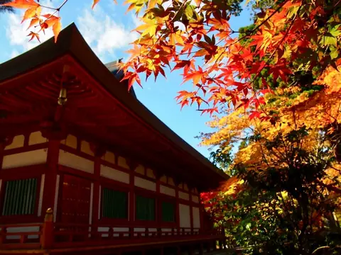 Motsuji Temple [World Heritage Site]