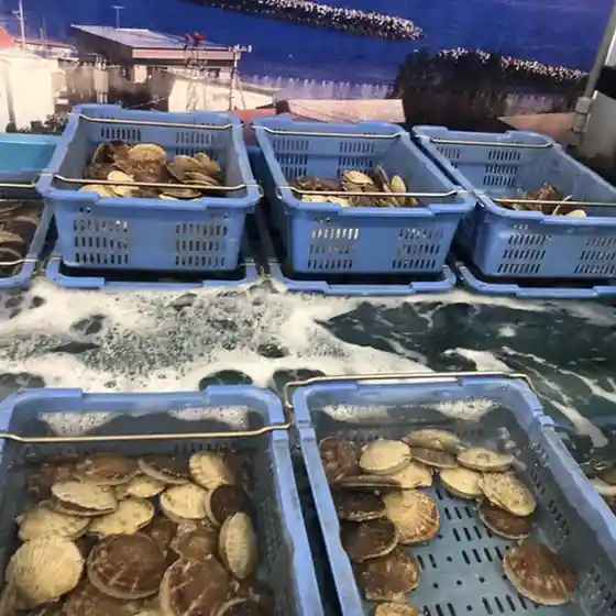森と川と海ほたて広場