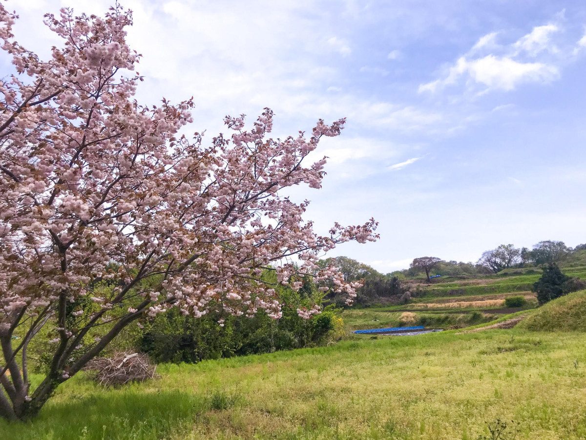 Yoshizawa Eight Views (Yurugi Hill)