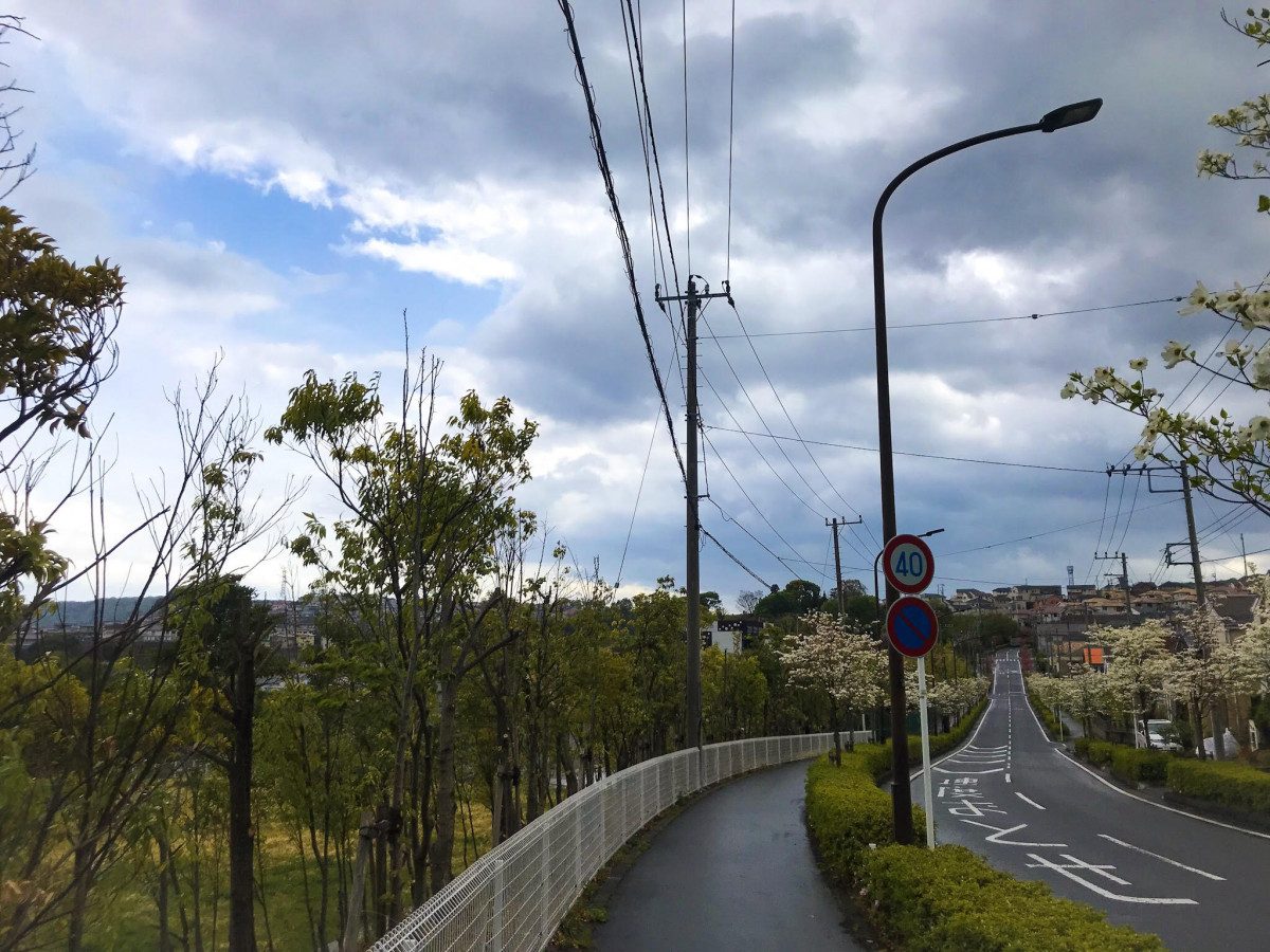 Yoshizawa Eight Views (Megumigaoka)