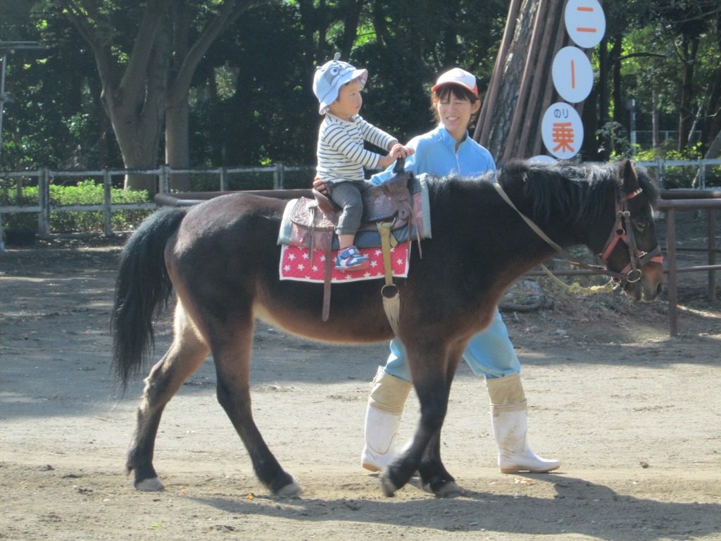 Fureai Petting Zoo
