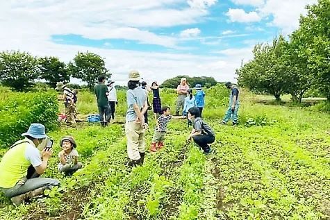 Kiiroi Ouchi Farm