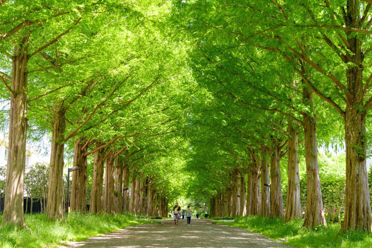Hiratsuka City General Park