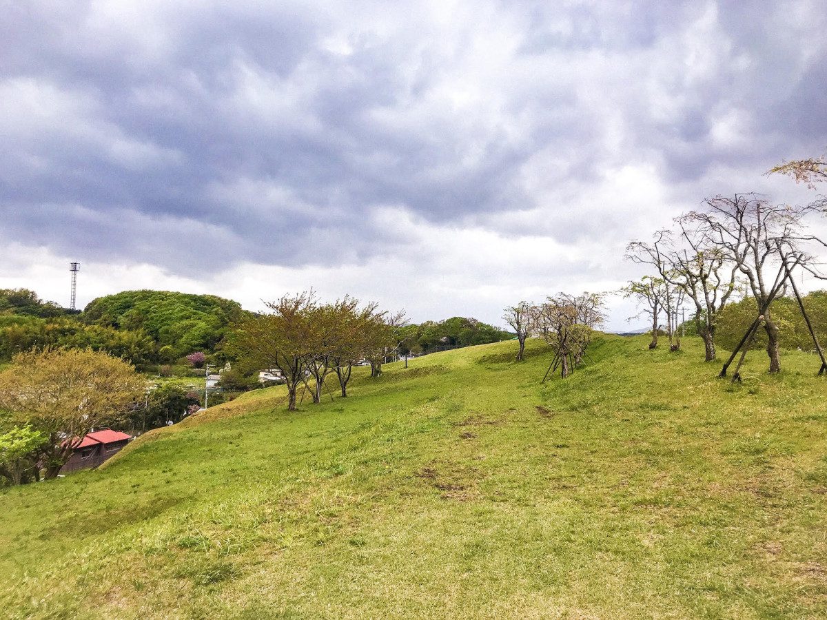 Tobiyatsu Hill (Majestic Mount Fuji)