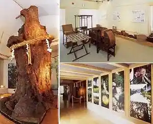 Museum Yume Hiraya