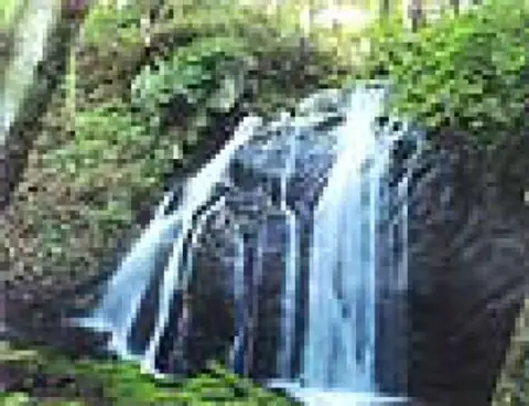 Takizawa Otaki