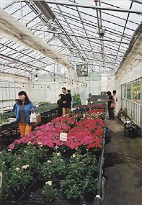 Gardening Workshop