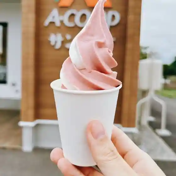 A・COOP サンタ村