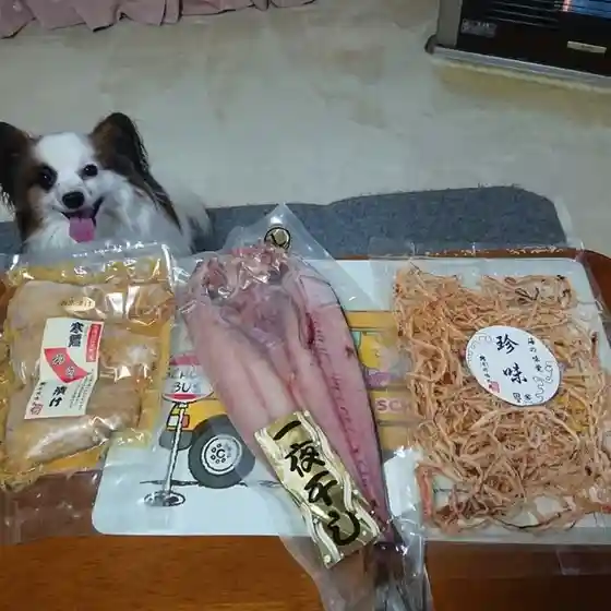 岡嶋水産