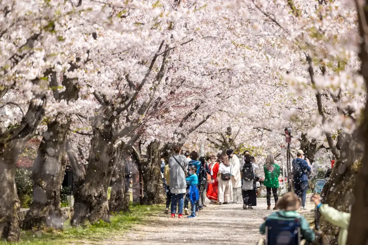 Hirosaki Park / Hirosaki Shiro