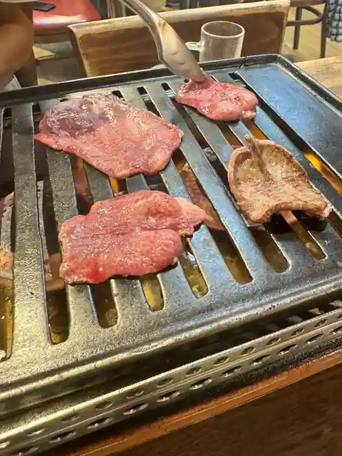 Toyomichisono