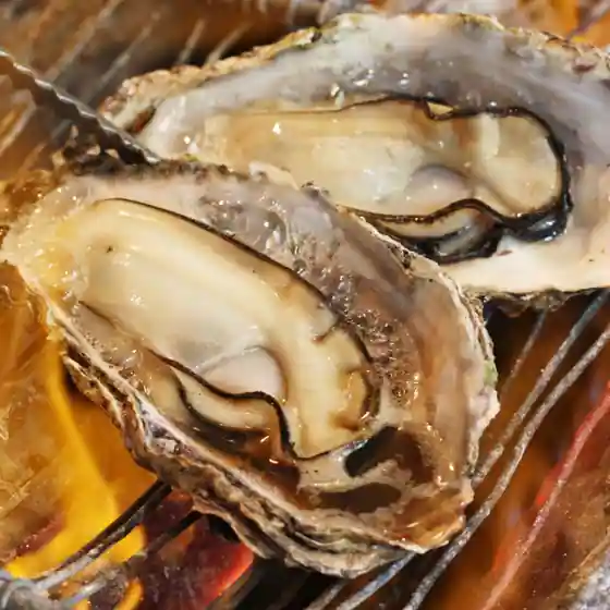 Kaki-ya