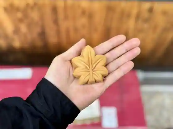 Sakamotokashiho