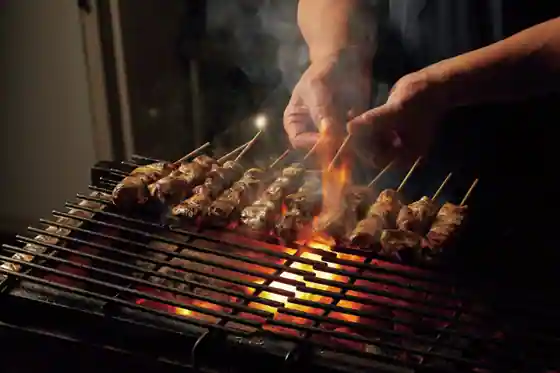 Yatsurugiden Chiyoda