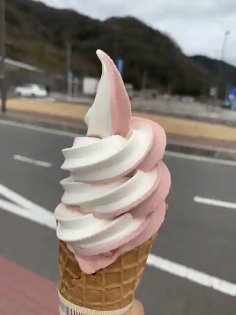 Roadside Station Michi-no-Eki Mihara Shinmei no Sato Fast Food